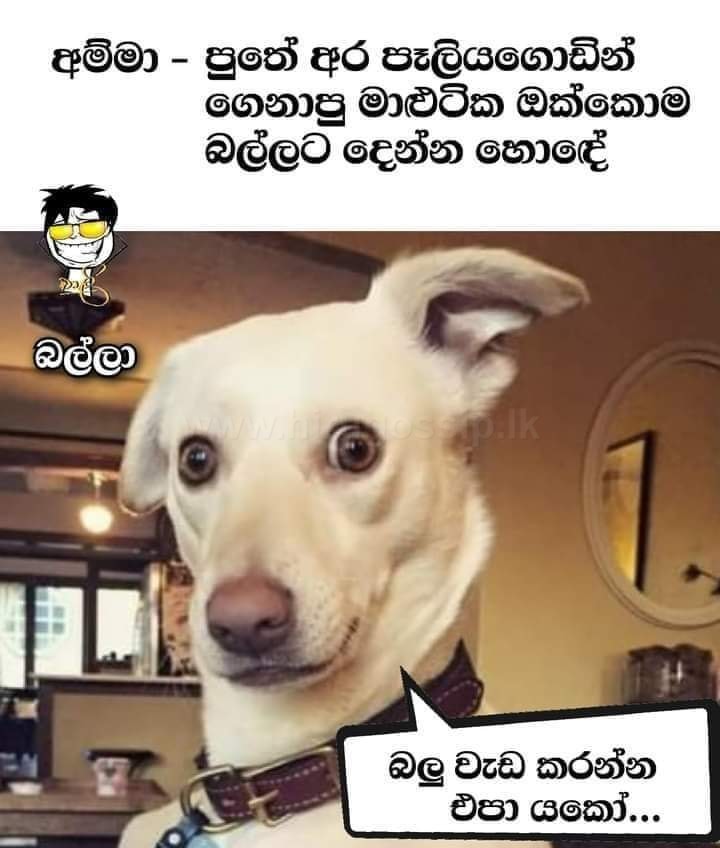 paliyagoda_2.jpg