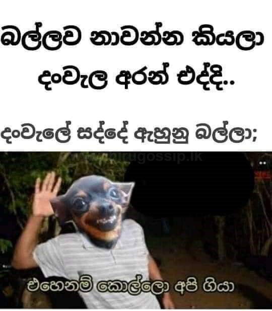 paliyagoda_4.jpg