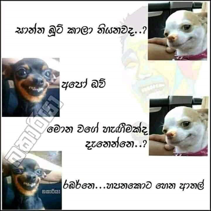 paniyaa_25.jpg