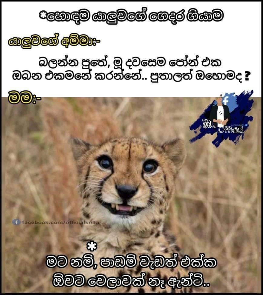 paniyaa_4.jpg