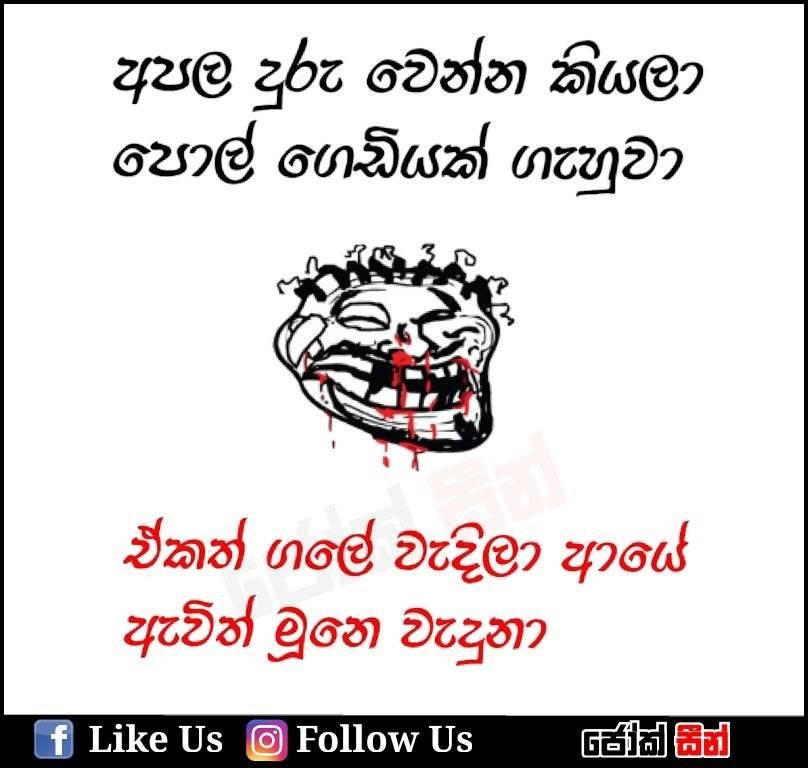 paniyaa_6.jpg