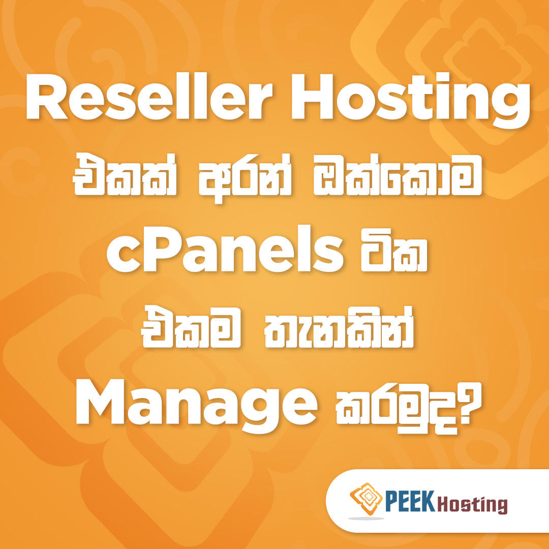PeekHosting-3.jpg