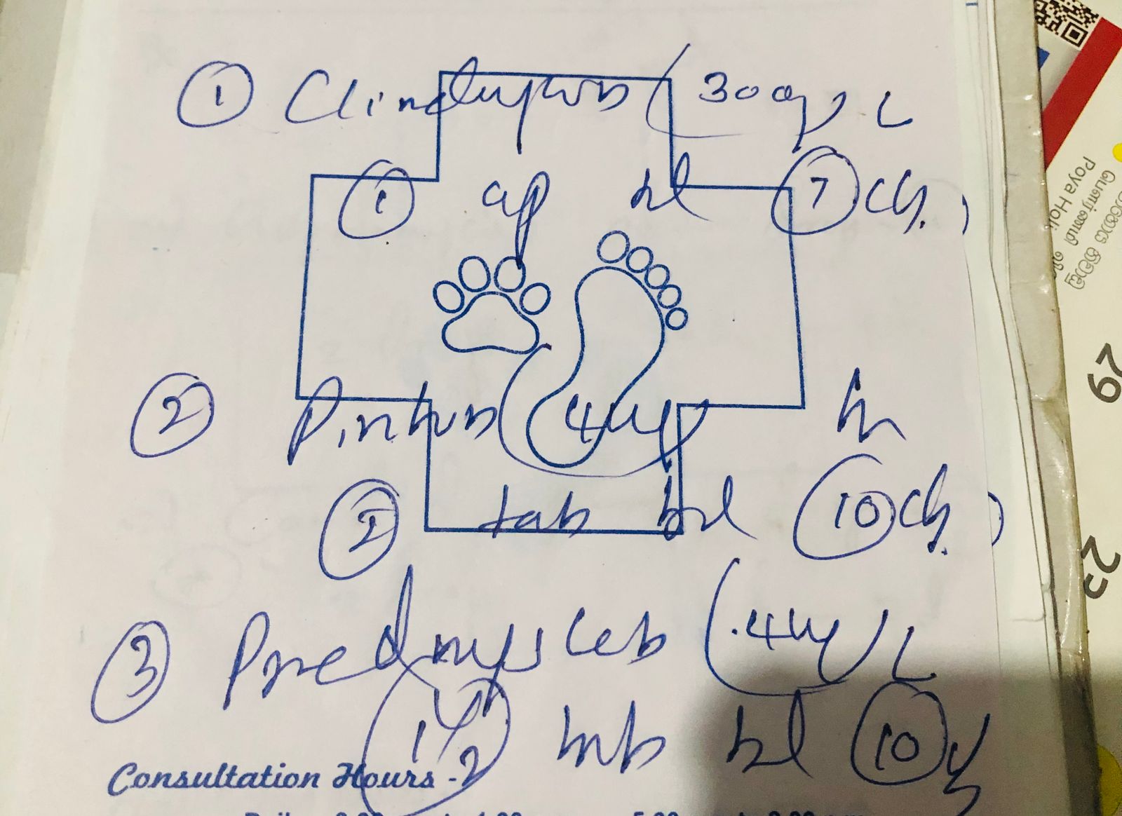 pharmacy 1.jpg