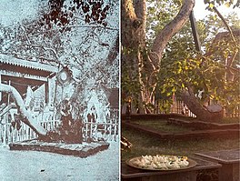 Photograph_of_Jaya_Sri_Maha_Bodhi_Anuradhapura_Sri_Lanka.jpg