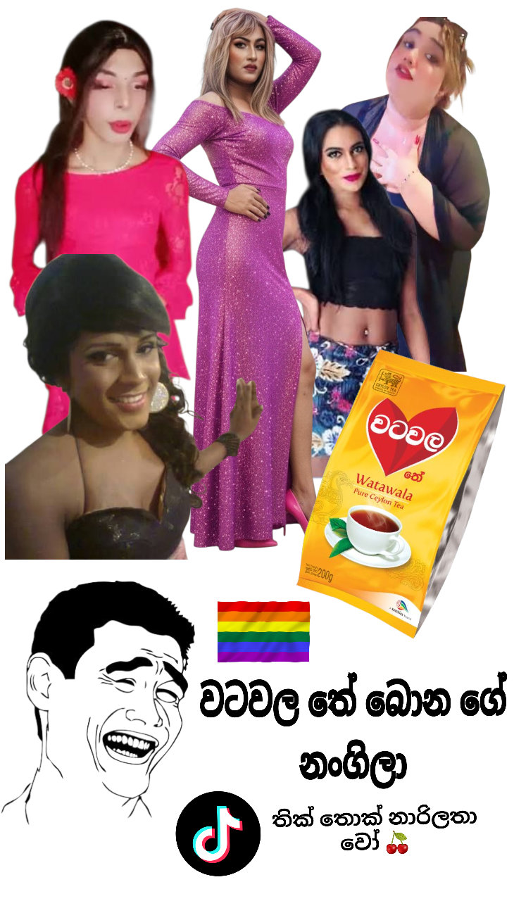 photostudio_1760761842417.png
