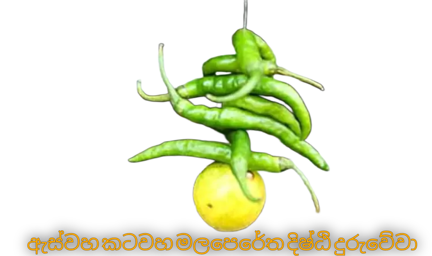 Picsart_23-12-31_02-10-34-686.png