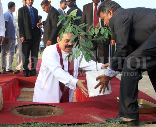 planting.jpg