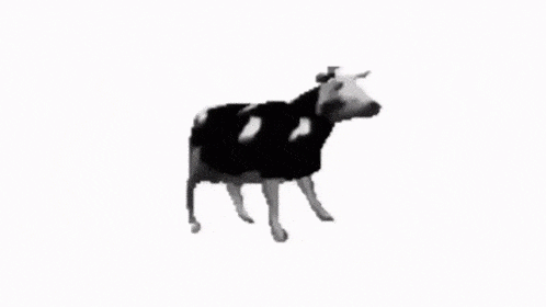 polish-cow-icegif.gif
