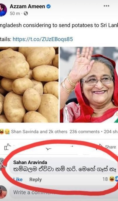 Potato.jpg