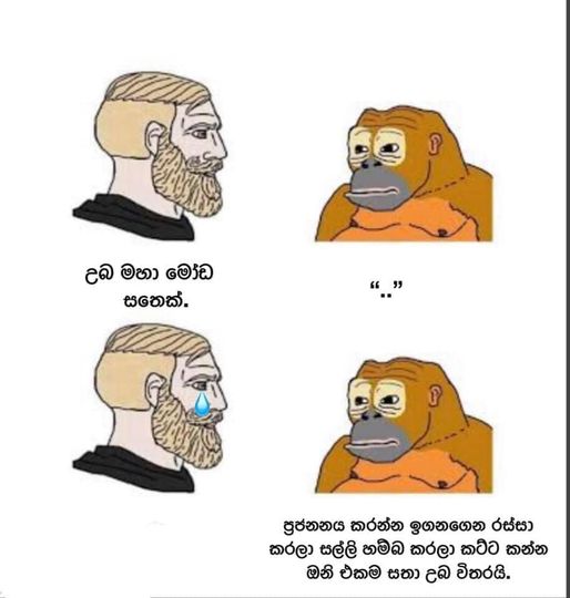 Prj.jpg
