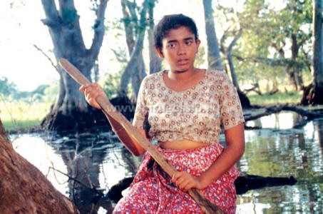 ramia5.jpg