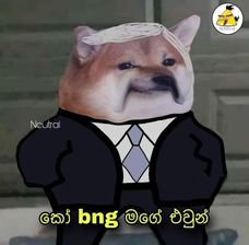 ranfan.jpg