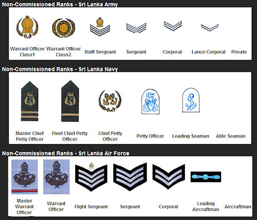 ranks-2.jpg