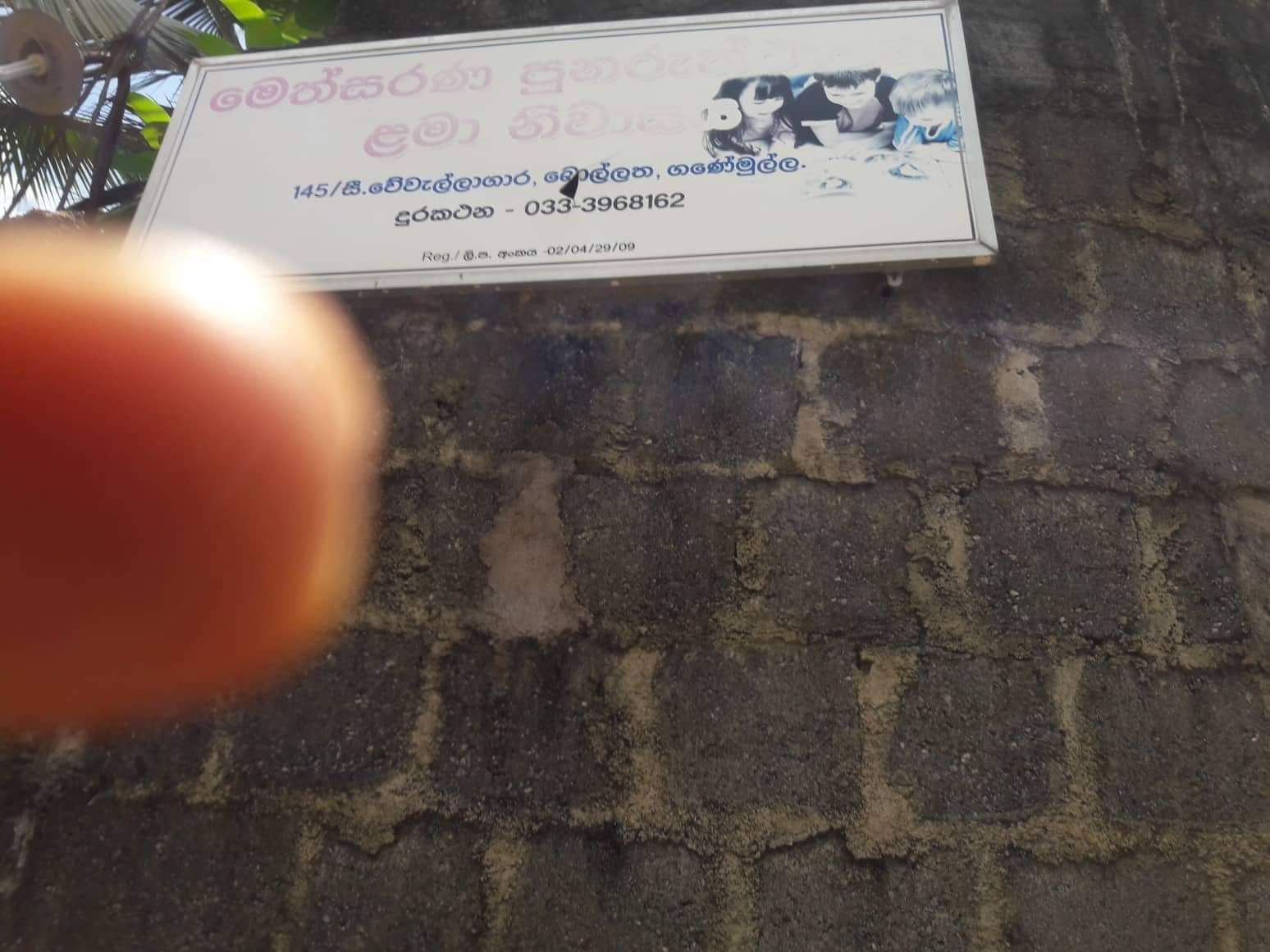 received_993447964181131.jpeg