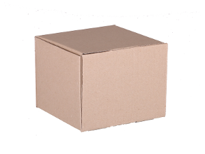 resized_300x300.png