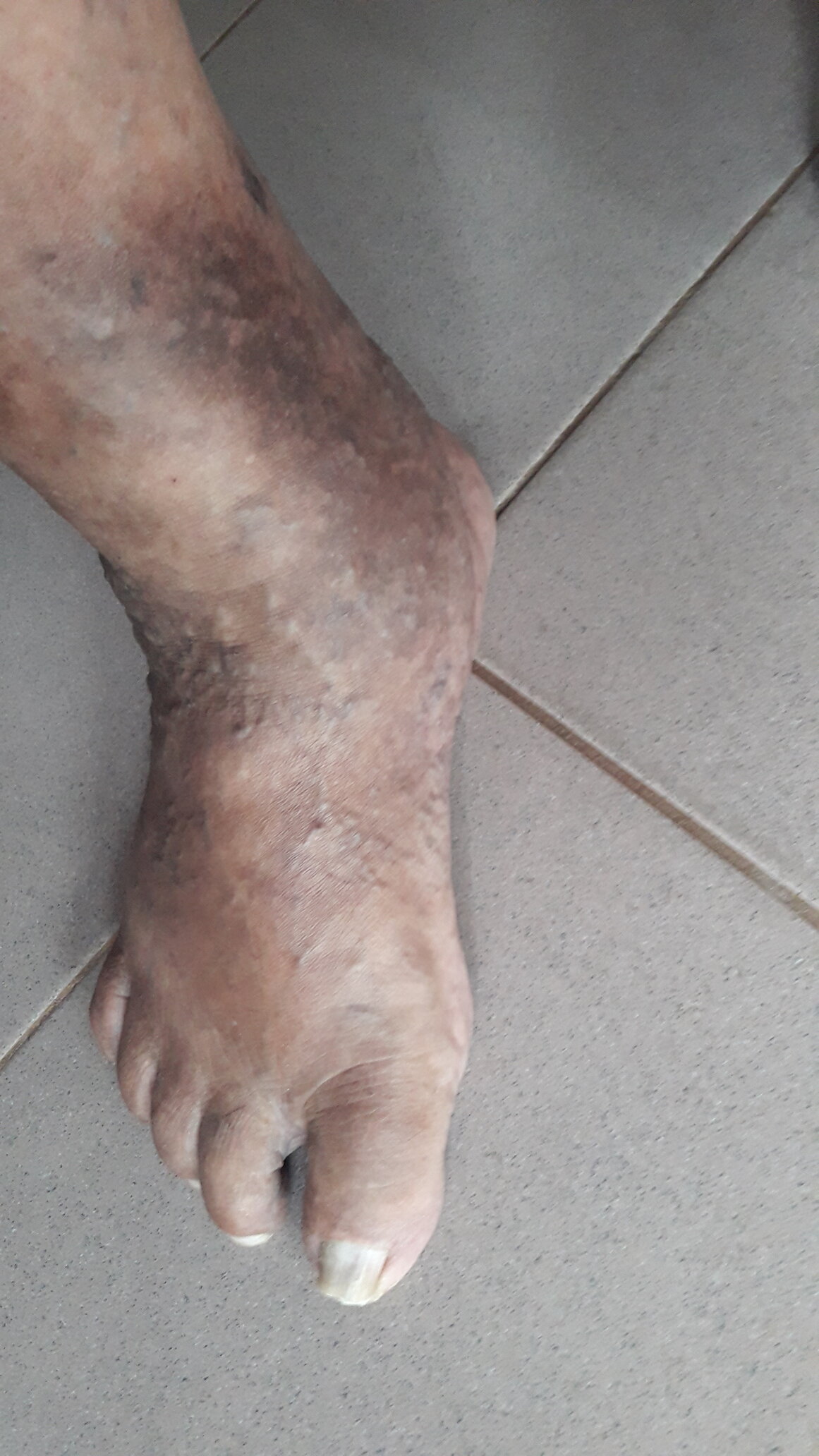 rsz_20241012_154310.jpg