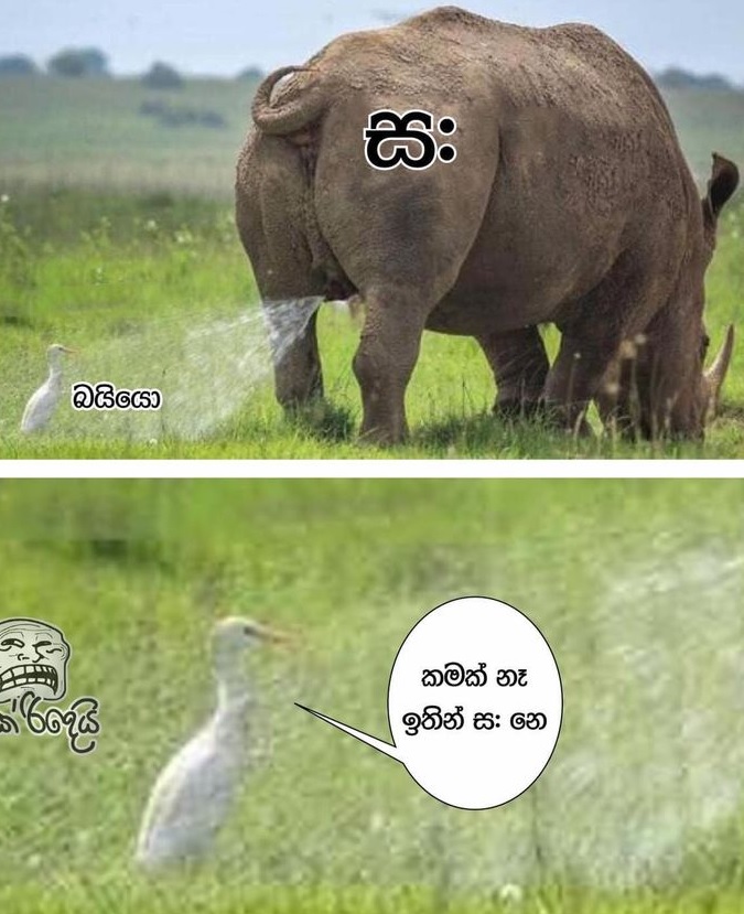 s.jpg