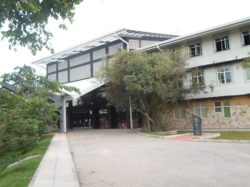 SAM_0920.JPG