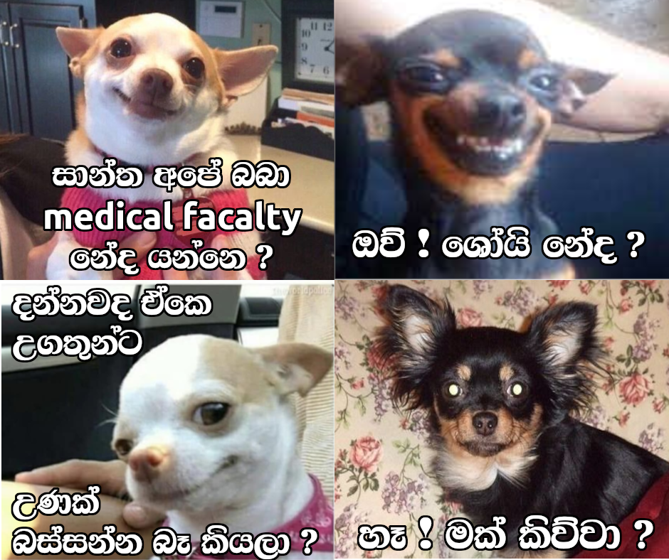 santha.png