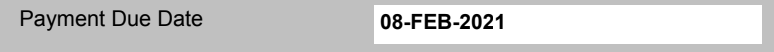 Screen Shot 2021-03-17 at 12.57.10 PM.png