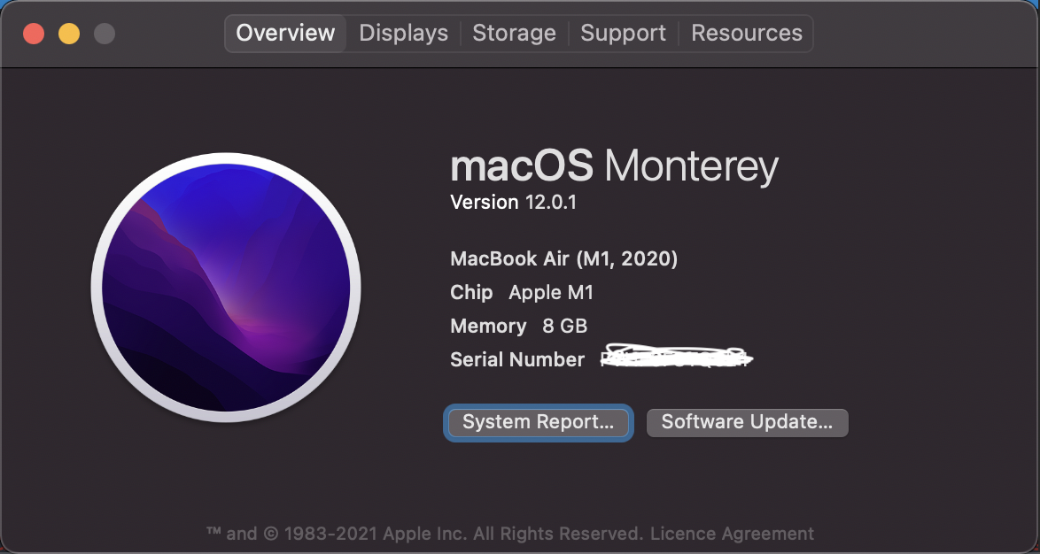 Screenshot 2021-11-17 at 7.58.44 AM.png