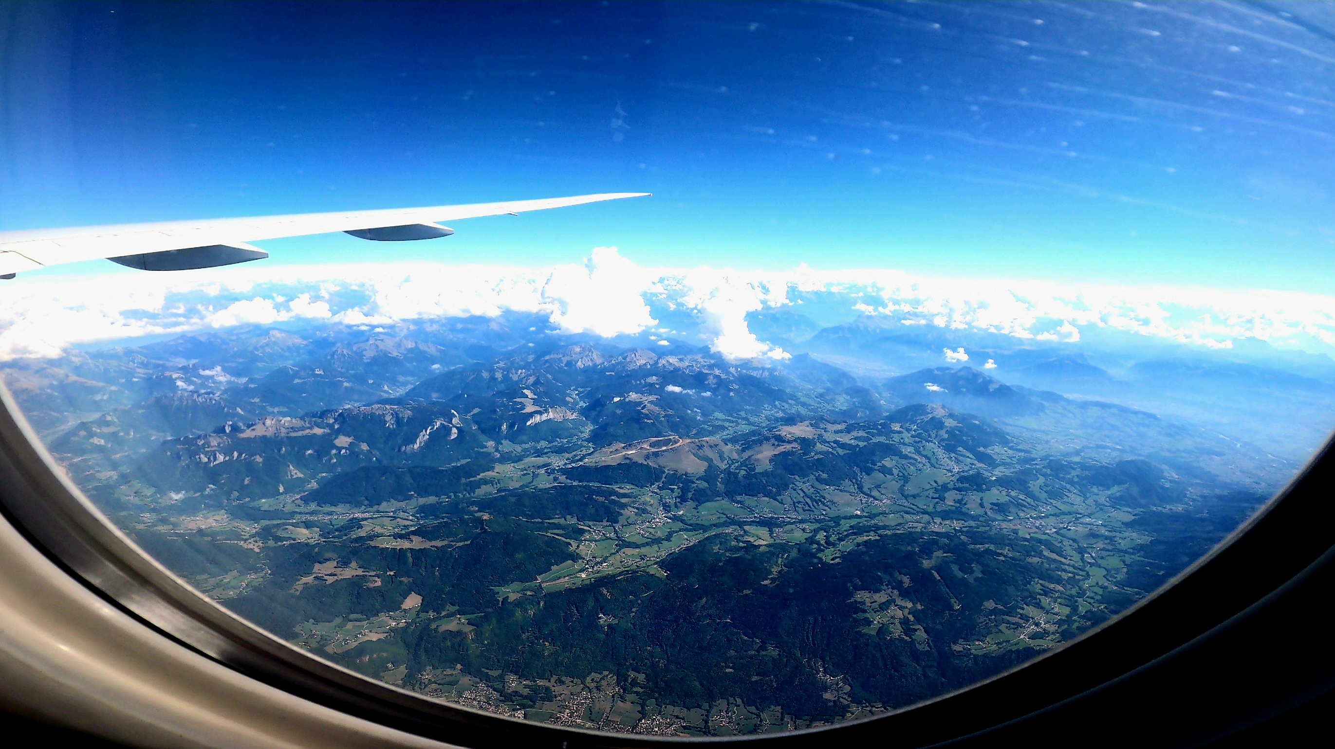 Screenshot 2022-09-20 024922.jpg