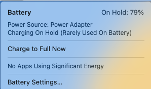 Screenshot 2023-01-13 at 9.17.22 AM.png