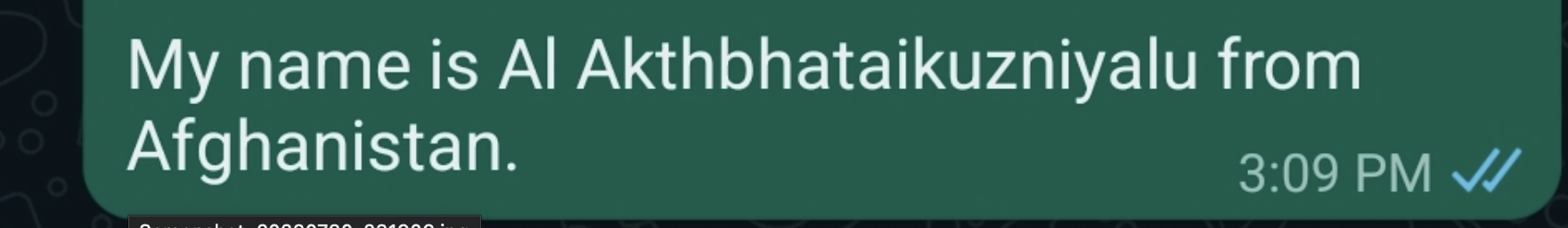 Screenshot 2023-07-31 at 2.52.40 AM.png