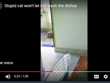 Screenshot_2.jpg