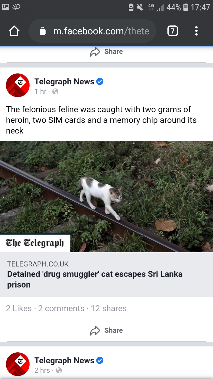 Screenshot_20200803-174800_Chrome.jpg