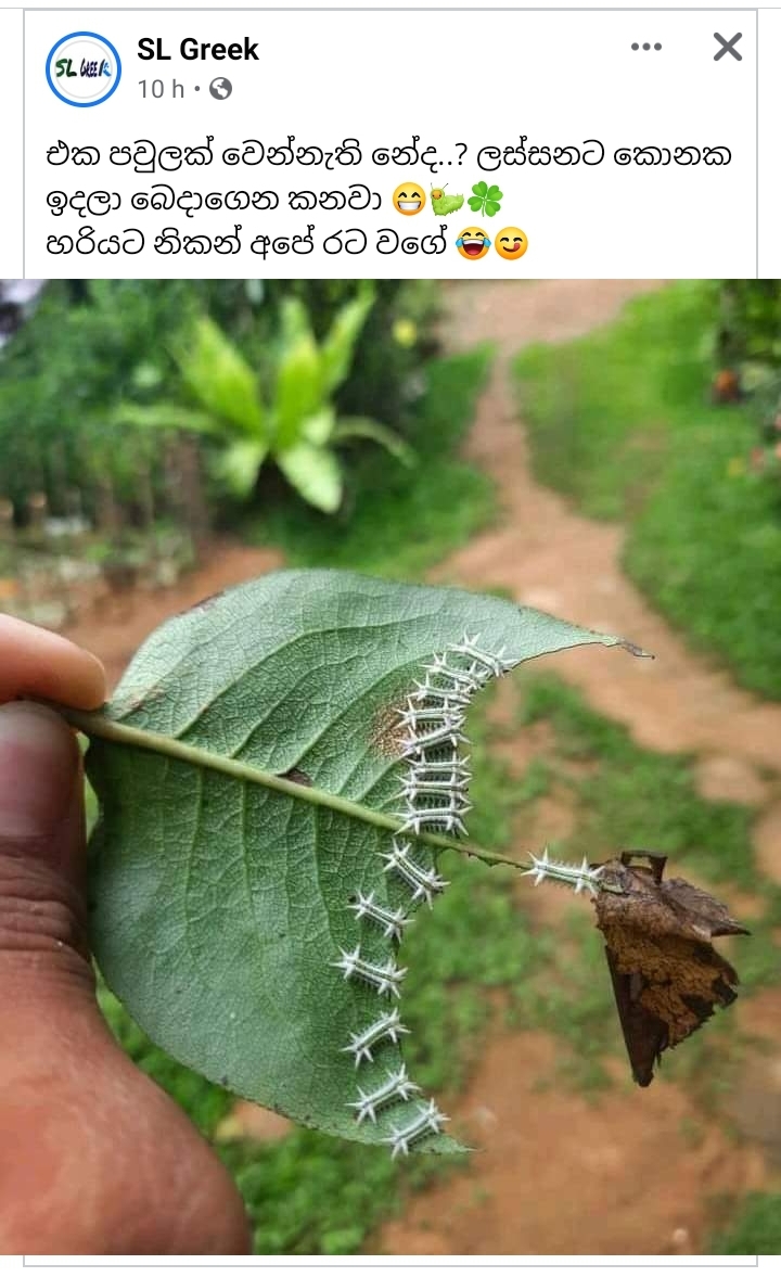 Screenshot_20210927-114543_Facebook.jpg