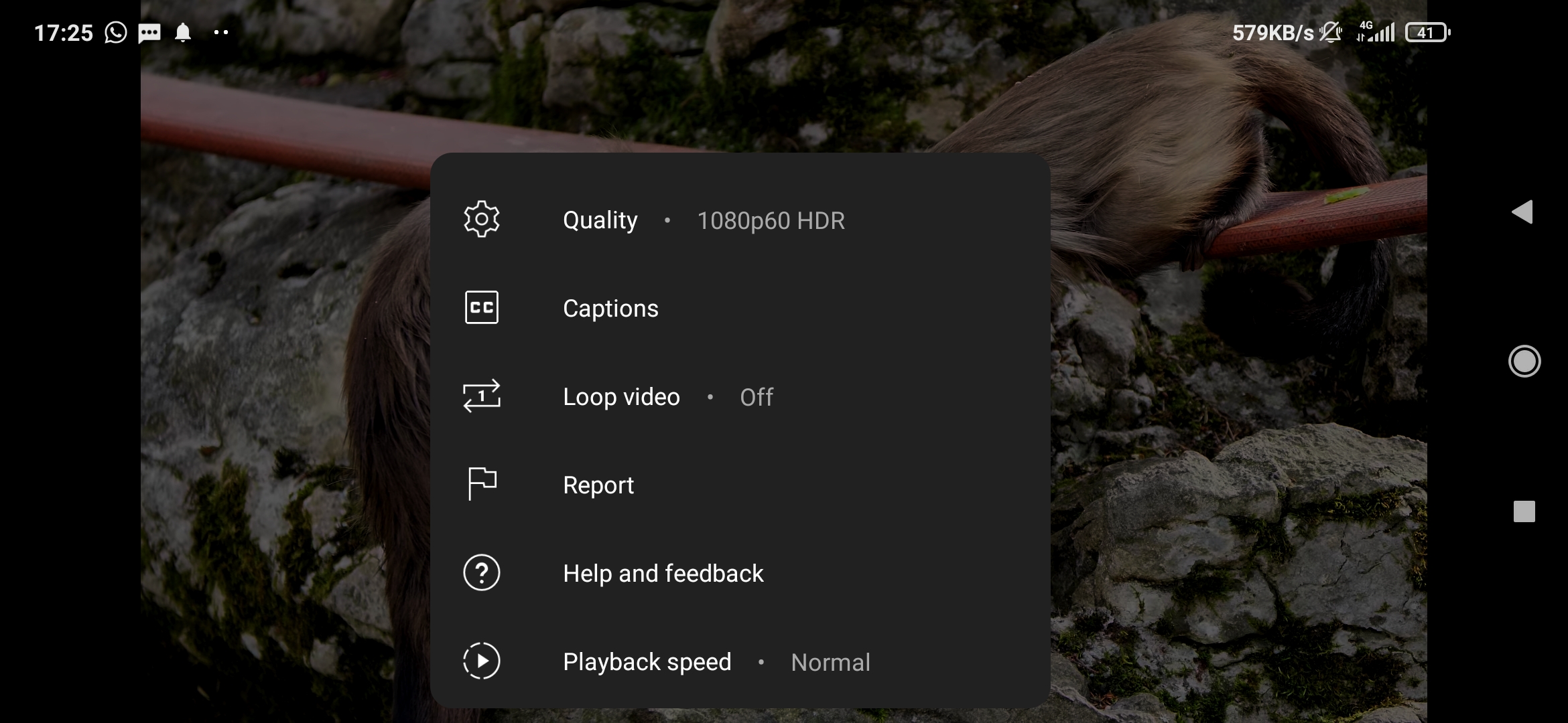 Screenshot_2022-07-27-17-25-25-523_com.google.android.youtube.jpg