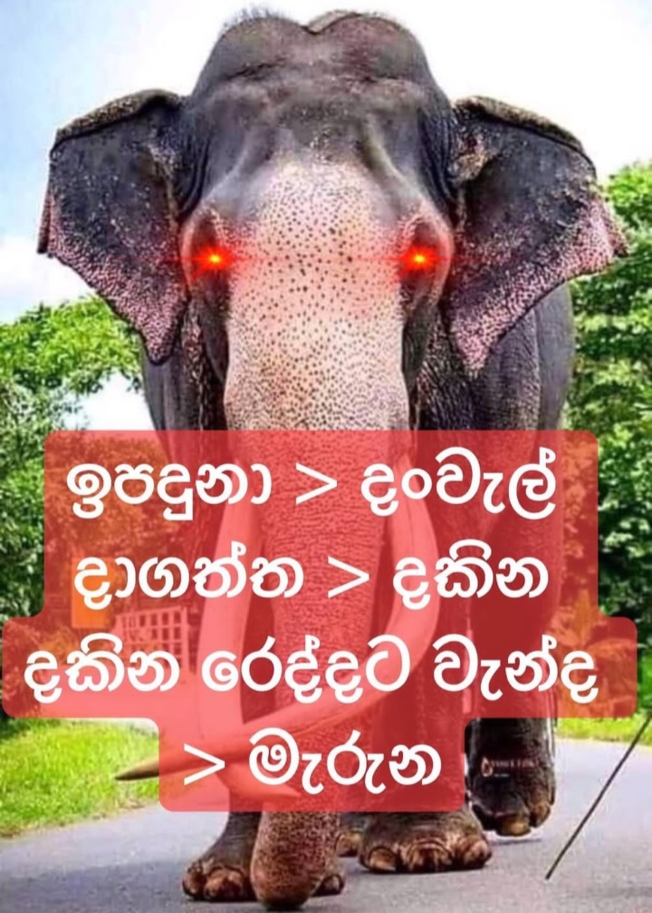 Screenshot_20220307-181018_WhatsApp.jpg