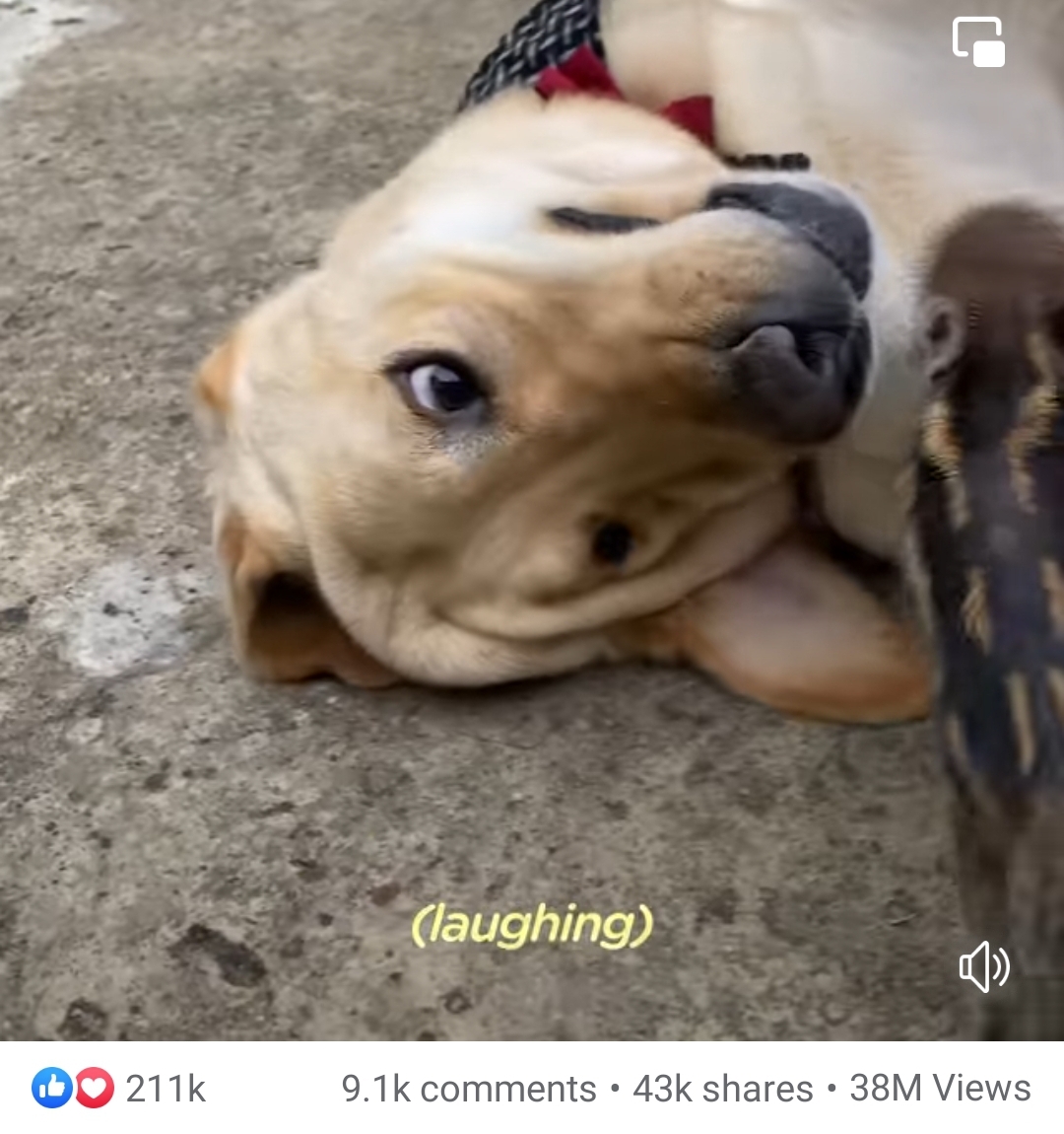 Screenshot_20220515-195404_Facebook.jpg