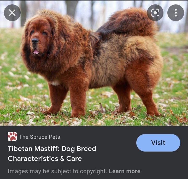 Screenshot_20220604-123628_Google.jpg