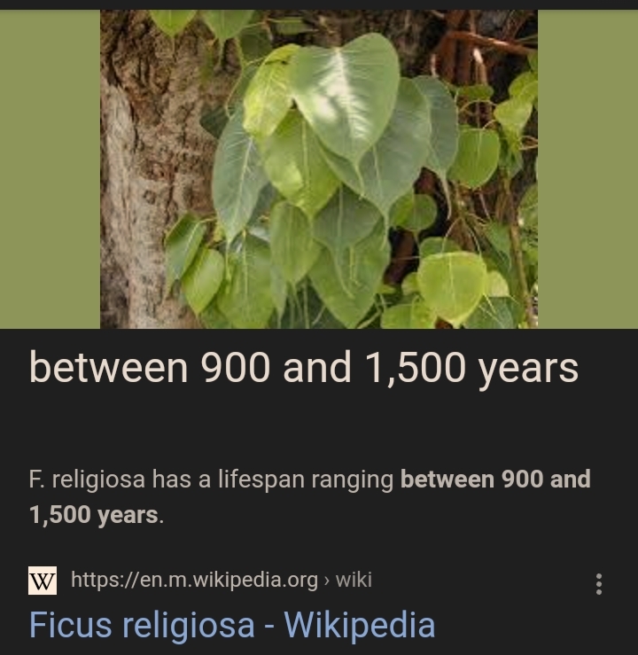 Screenshot_20221127_174553.jpg