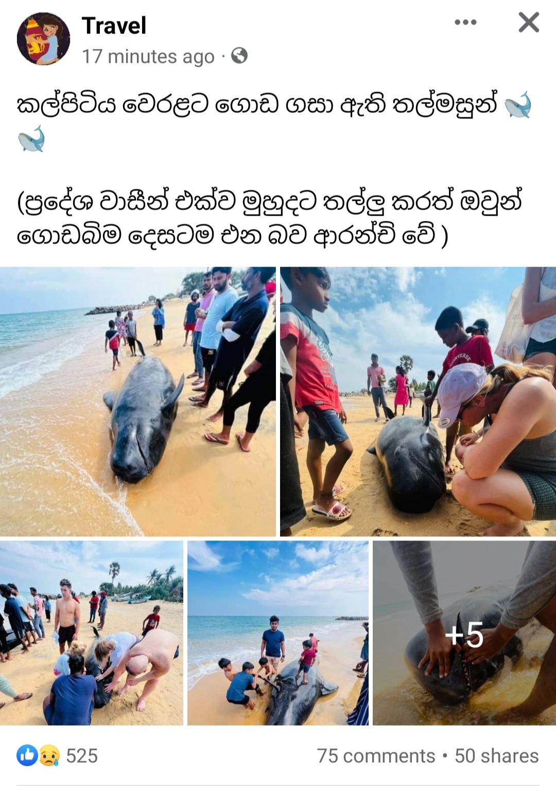 Screenshot_20230211-124956_Facebook.jpg