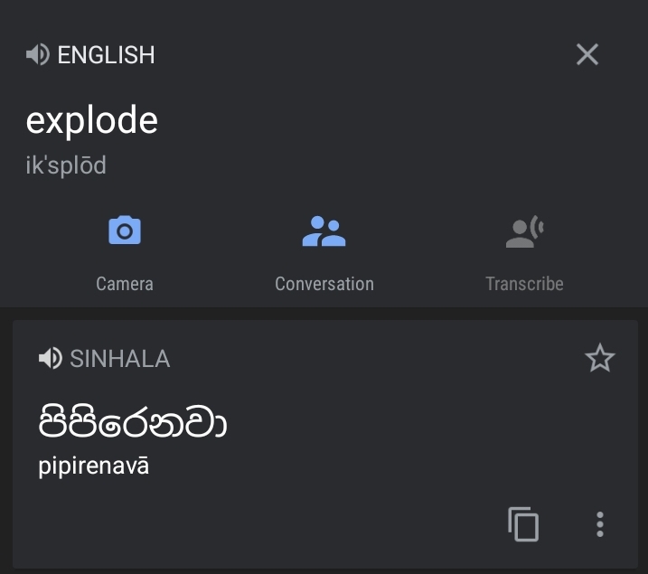 Screenshot_20230623-042719_Translate.jpg