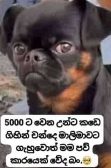 Screenshot_20240918-151325_Chrome.jpg