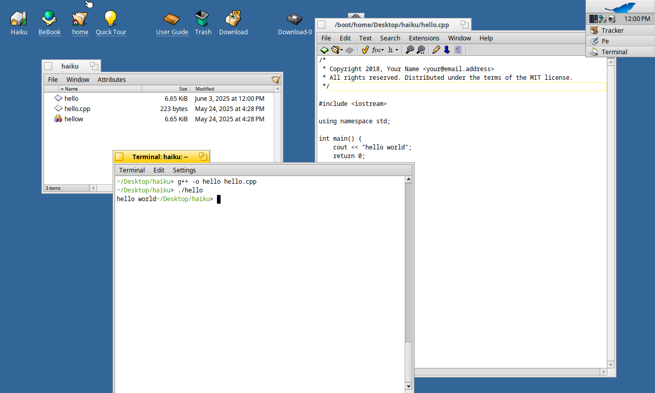 Screenshot_haiku_2025-06-03_17:30:49.png