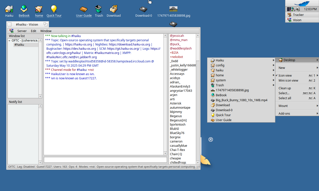 Screenshot_haiku_2025-06-03_17:33:47.png