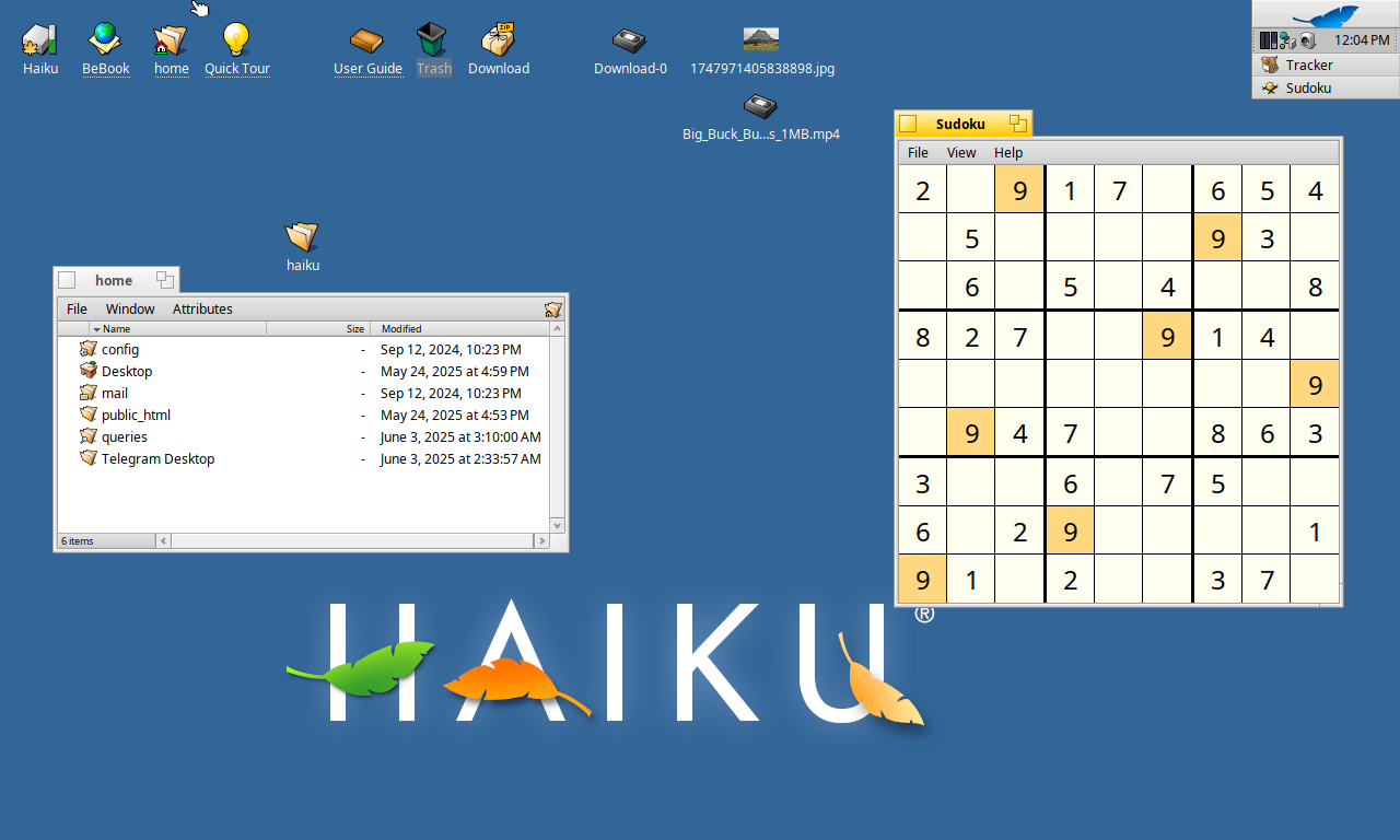 Screenshot_haiku_2025-06-03_17:34:31.png