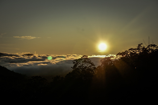 Shared from Lightroom mobile1.jpg