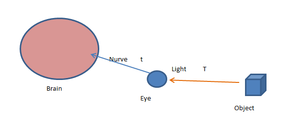 sight.PNG