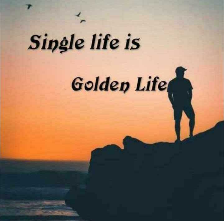 singlelifehappylife....._29b5820_1595223522090_cmprsd_40.jpg
