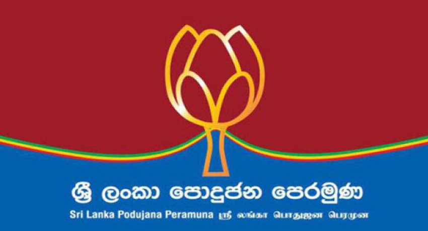 SLPP3.jpg