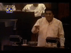 SlushySecondhandAnteater-max-1mb.gif