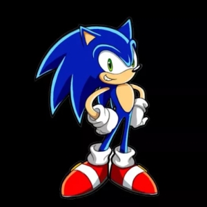 sonic.jpg