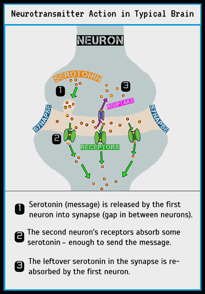 SSRI-1-PNG.png