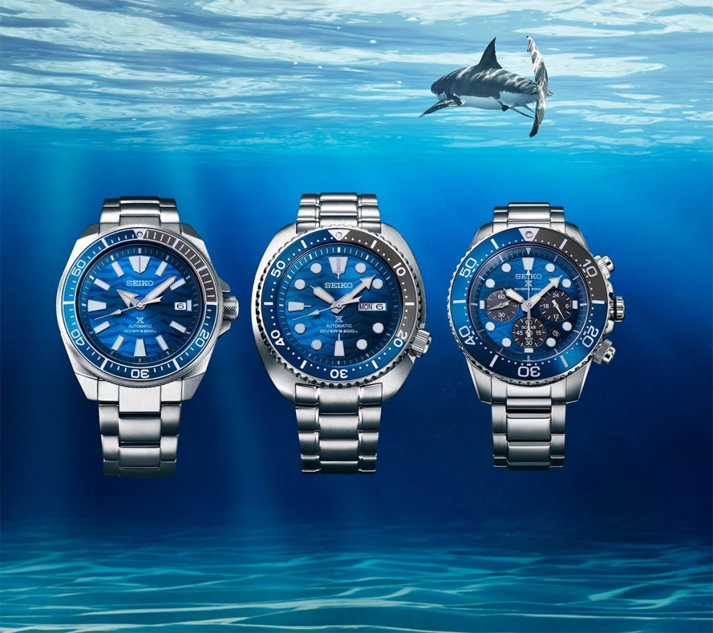 sto-white-shark-1024x909.jpg